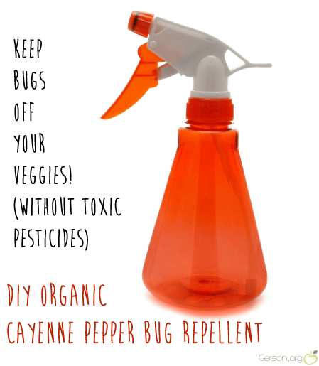 DIY Organic Cayenne Pepper Bug Repellent Spray (via Gerson.org)