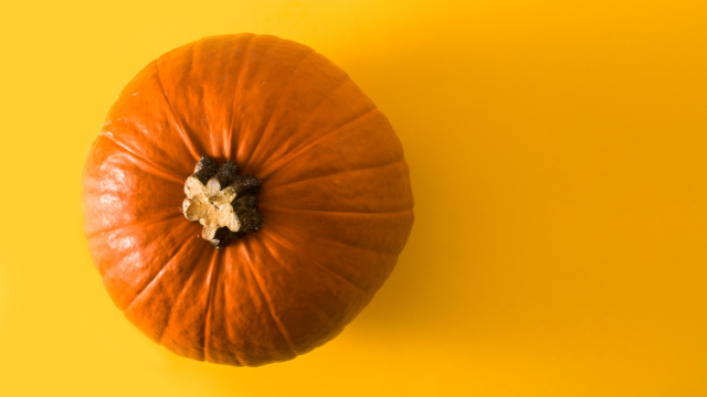 Pumpkin – Canva Image