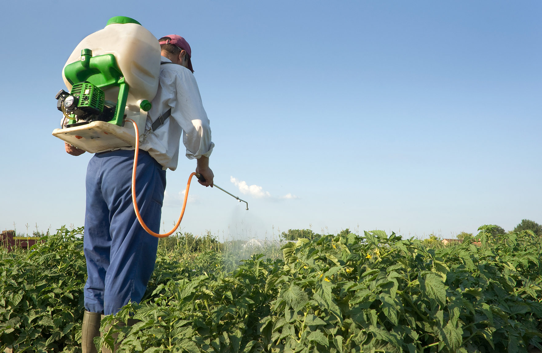 man spraying crops with herbicide