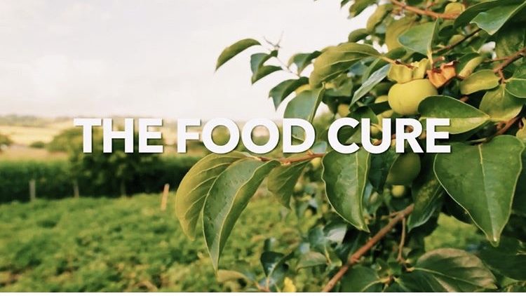 Food Cure Title Card Image